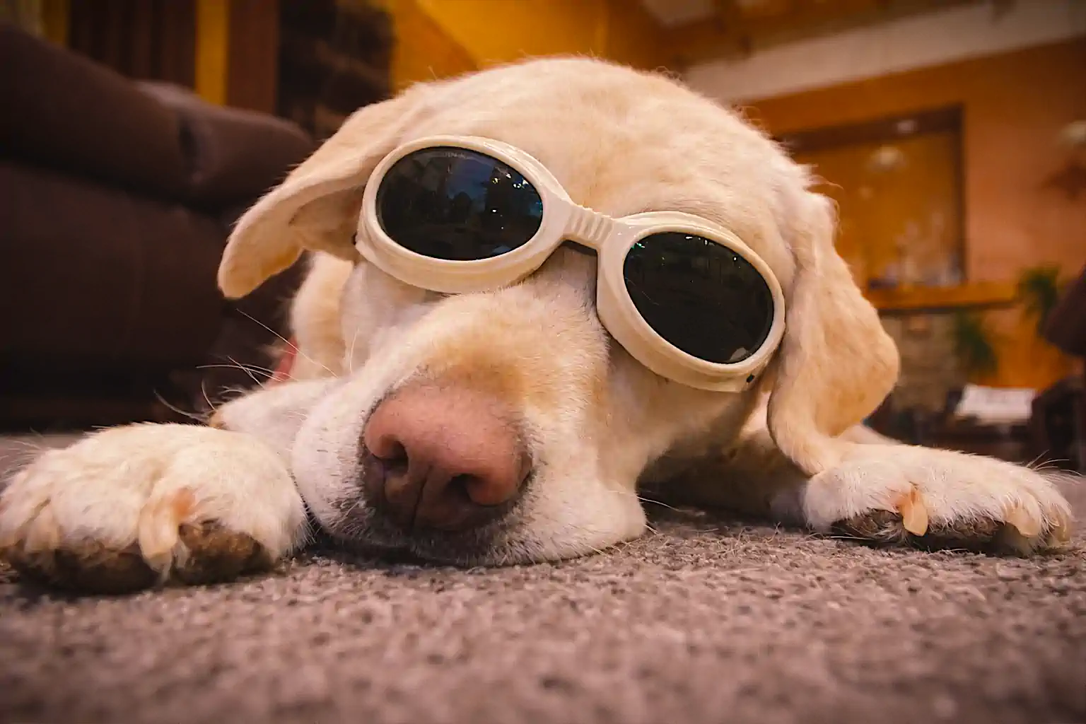 Laser Therapy