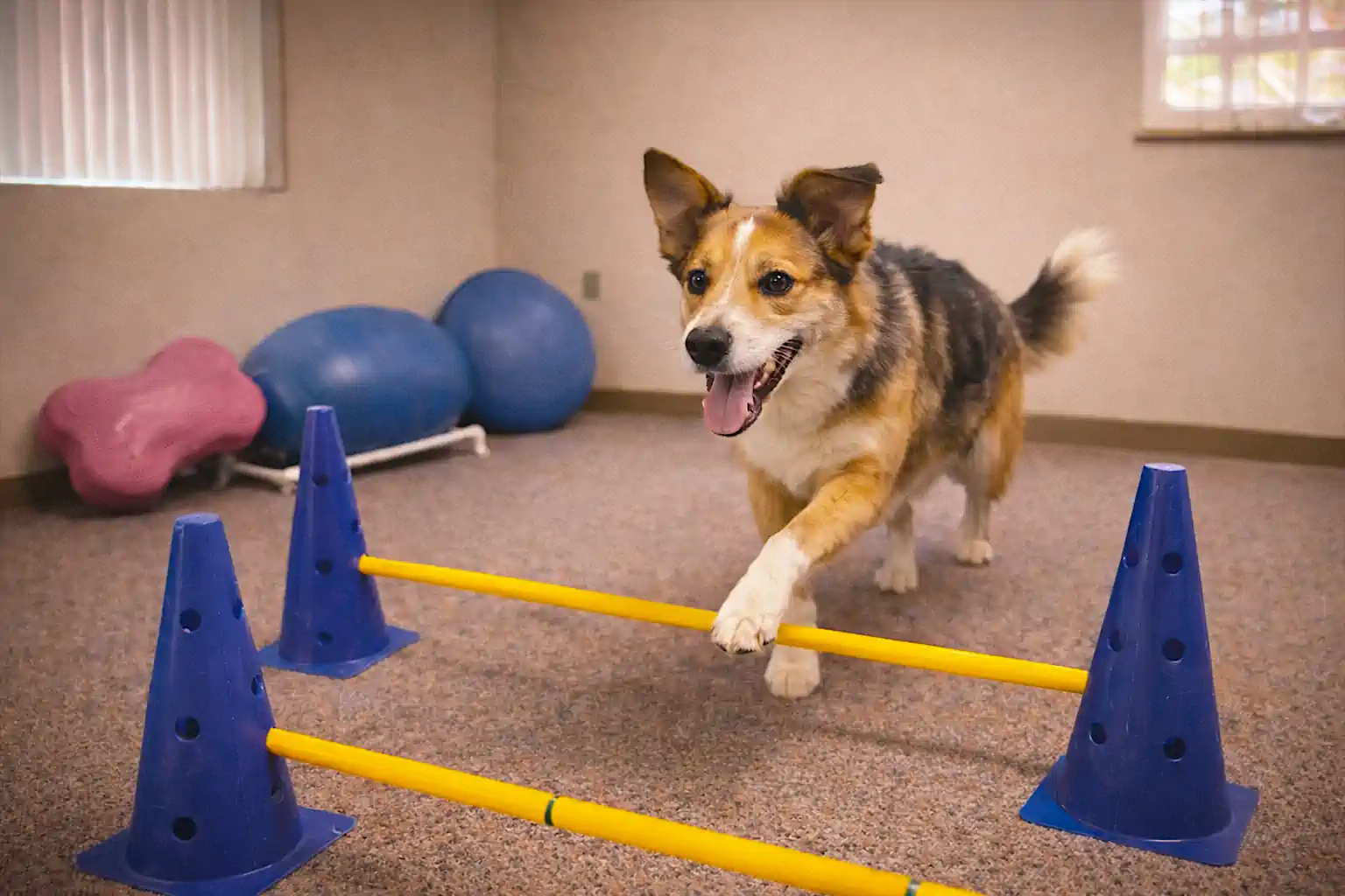 Rehabilitation